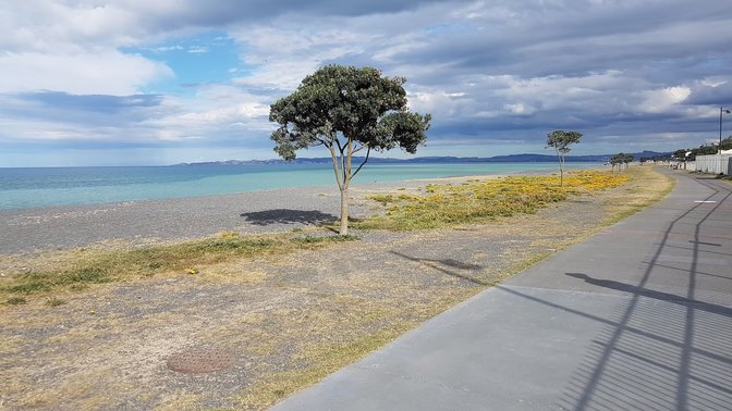 Marine Parade