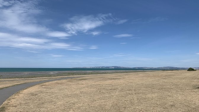 Spirit of Napier