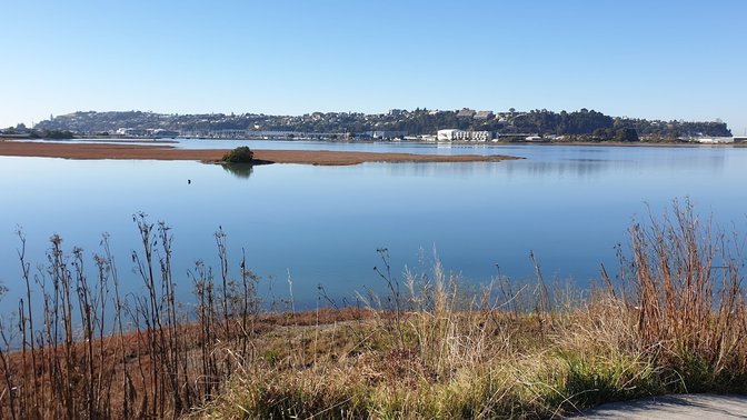 Ahuriri Estuary