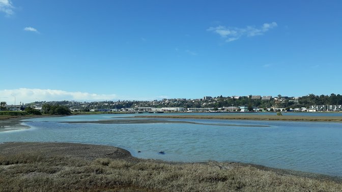 Ahuriri Estuary