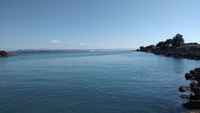 Ahuriri Estuary