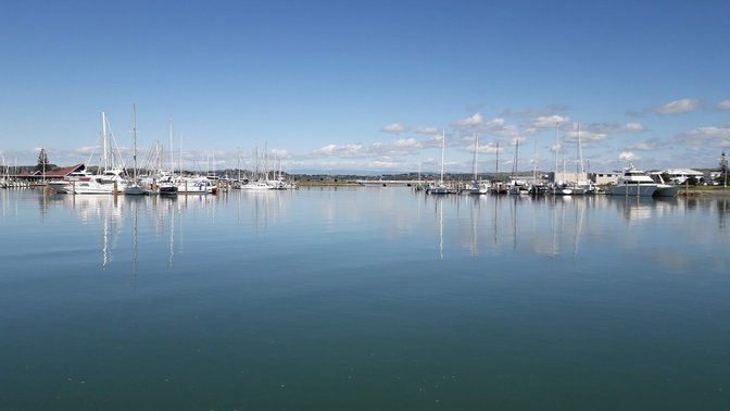 Ahuriri Estuary