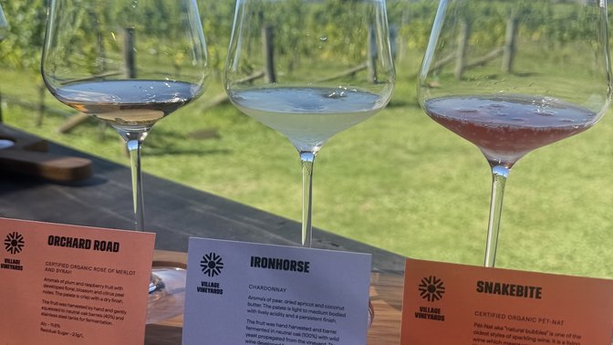 Village Vineyards