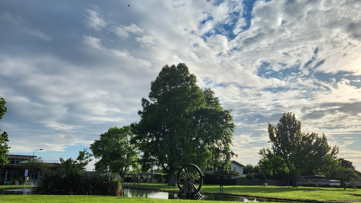Taradale Park Playground