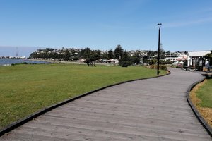 Hawke's Bay Cycle Trails: Routes, Maps, and Planning Your Ride