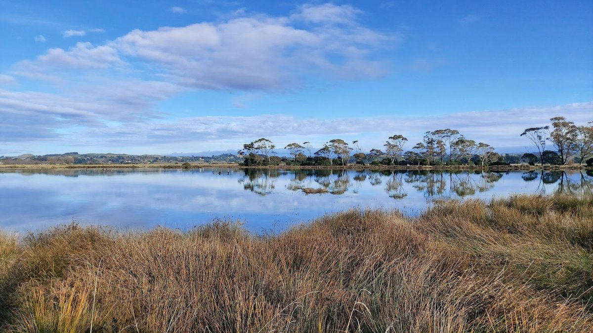 Westshore Wildlife Reserve