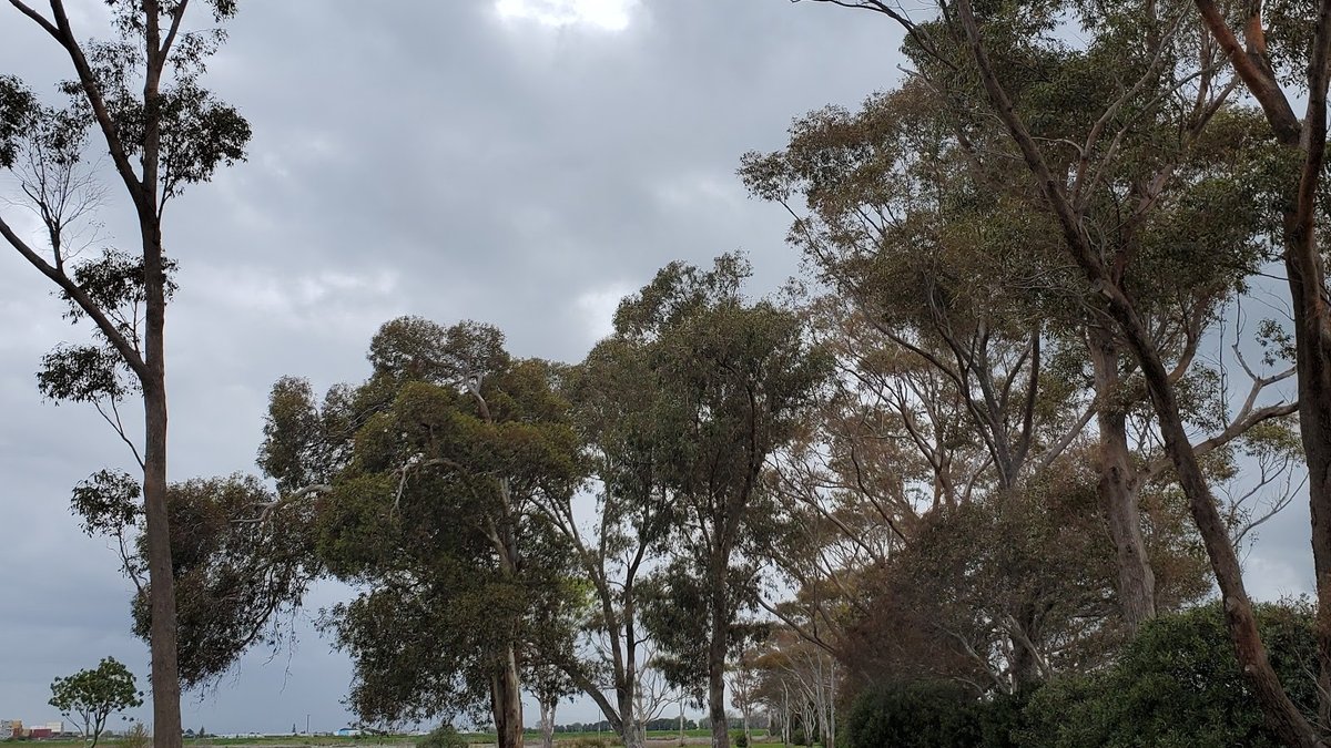 Westshore Wildlife Reserve