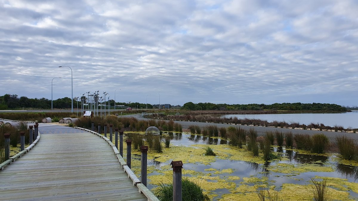 Westshore Wildlife Reserve