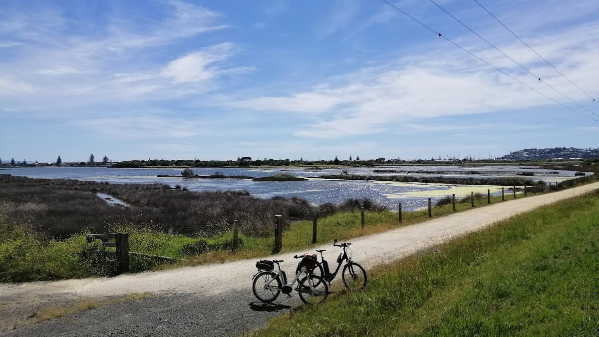 Westshore Wildlife Reserve