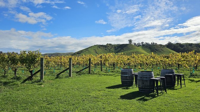 Oak Estate Wines