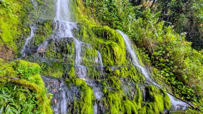 Centennial Garden & Waterfall
