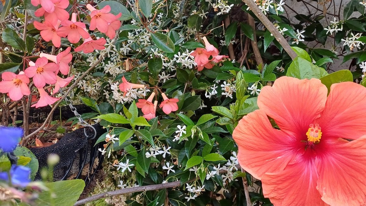 Ashcroft Gardens Bed and Breakfast