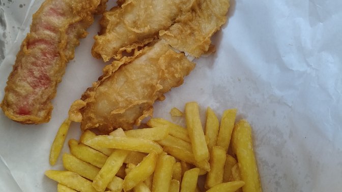 Mahora Fish Supply