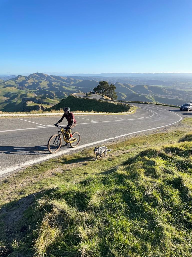 Te Mata Peak