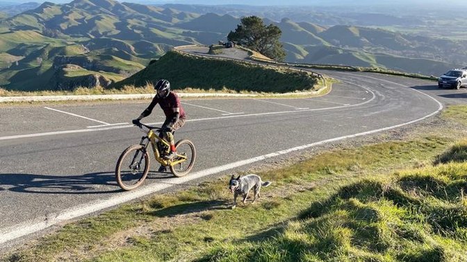 Te Mata Peak