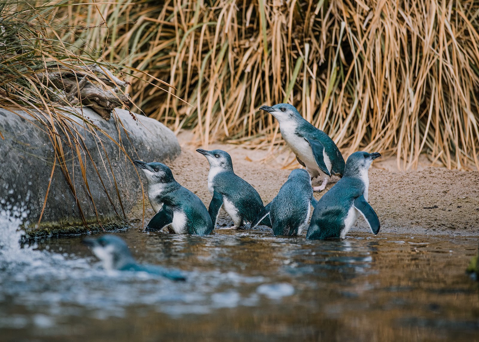 Things to Do in Hawke's Bay on a Rainy Day