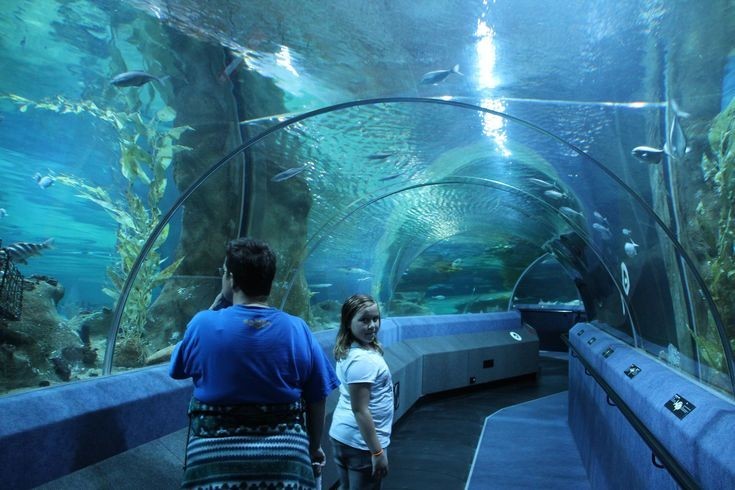 National Aquarium of New Zealand