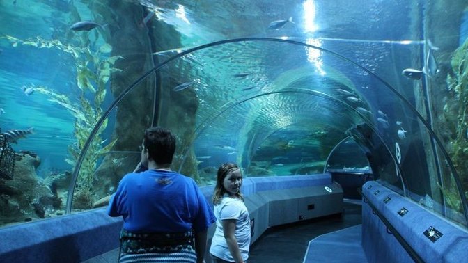 National Aquarium of New Zealand