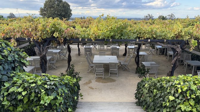 Black Barn Vineyards
