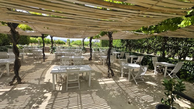 Black Barn Vineyards