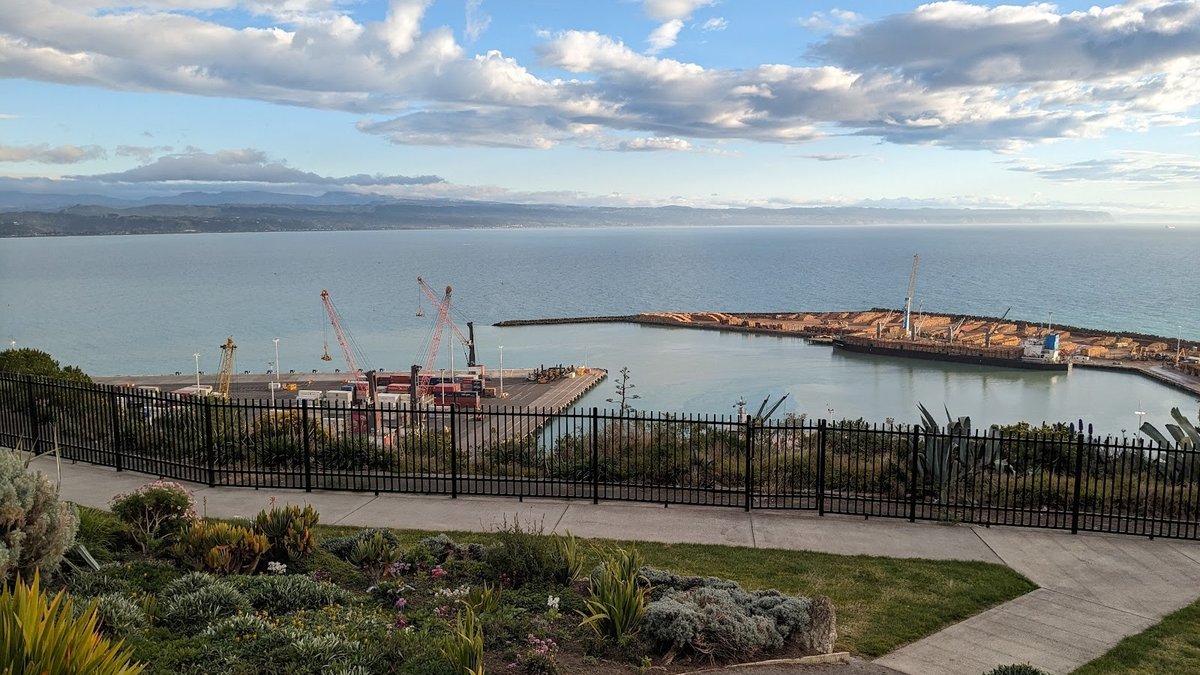 Visiting Bluff Hill Lookout in Napier: Walks, Views, and Access