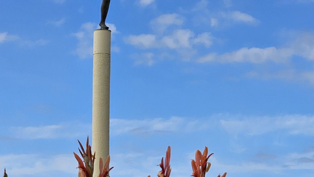 Foreshore Reserve