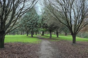 Pākōwhai Regional Park