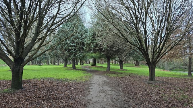 Pākōwhai Regional Park