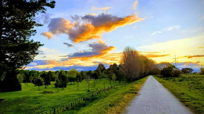 Pākōwhai Regional Park