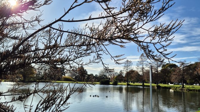Anderson Park