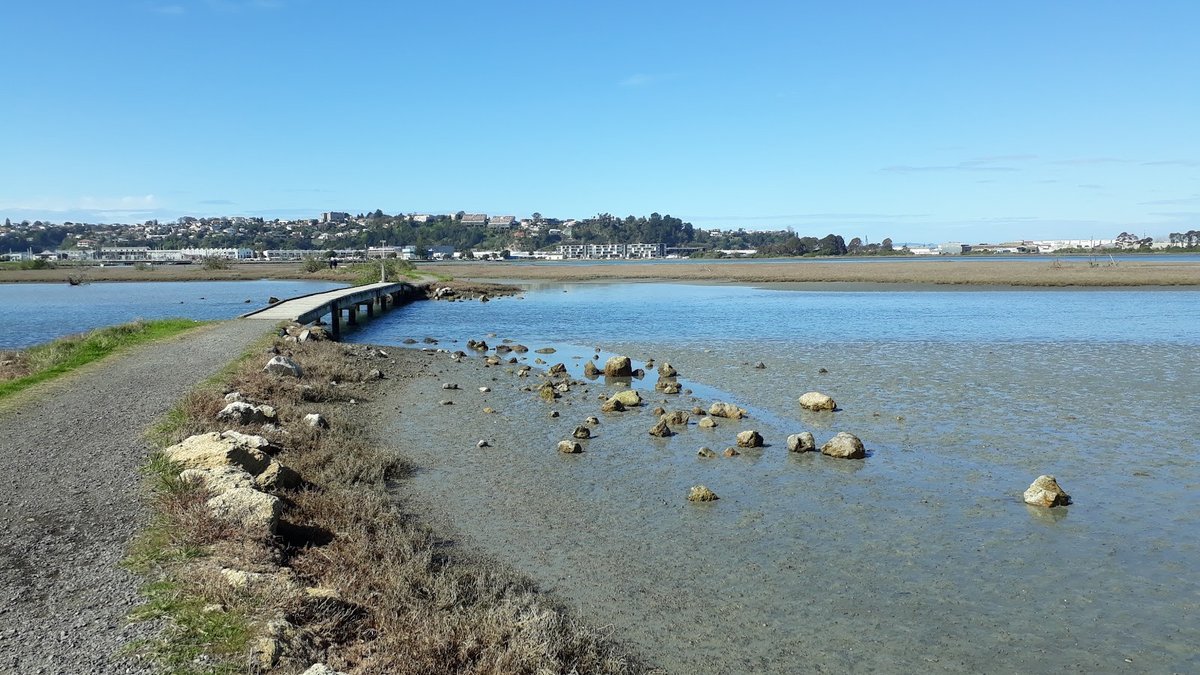Pandora Pond