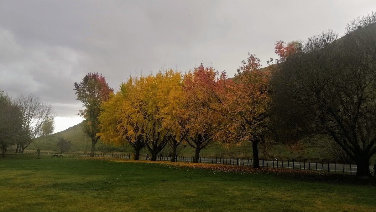 Puketapu Park