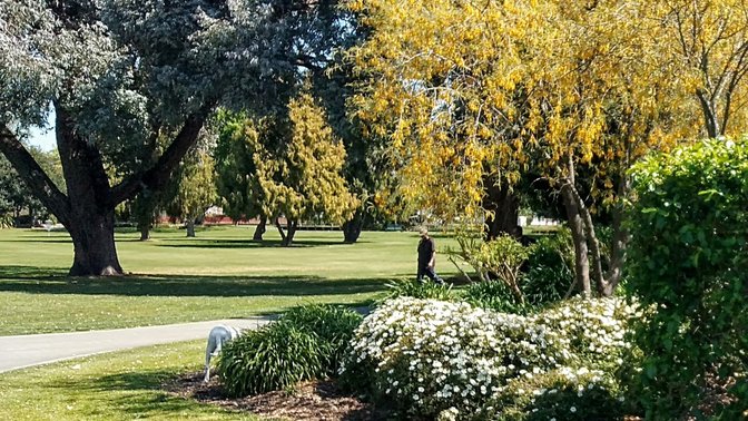 Flaxmere Park