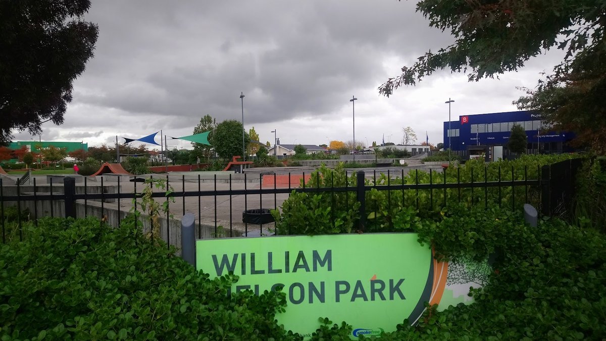 William Nelson Skatepark
