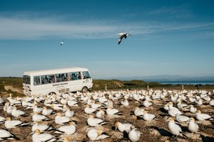 Gannet Safaris Overland