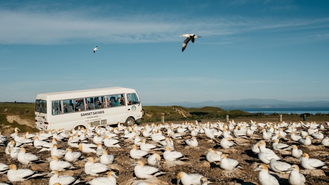 Gannet Safaris Overland
