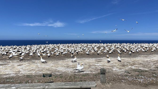 Gannet Safaris Overland