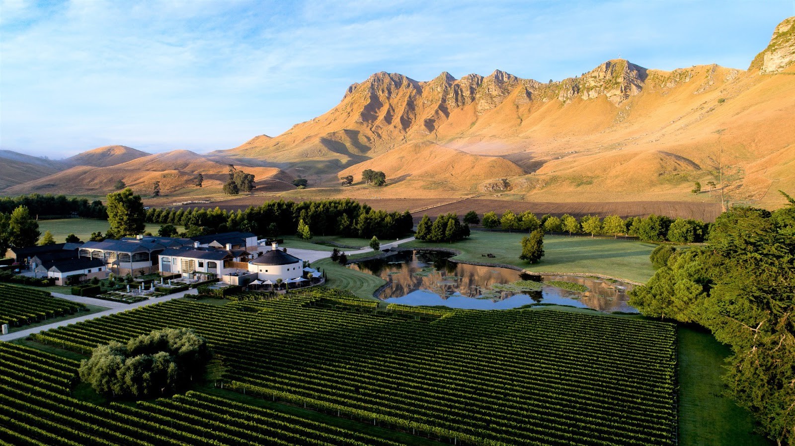 Best Vineyards and Wineries to Visit in Hawke's Bay: Cellar Doors and Dining Guide