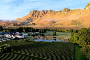 Best Vineyards and Wineries to Visit in Hawke's Bay: Cellar Doors and Dining Guide