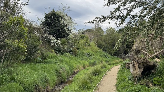 Kingsgate Reserve