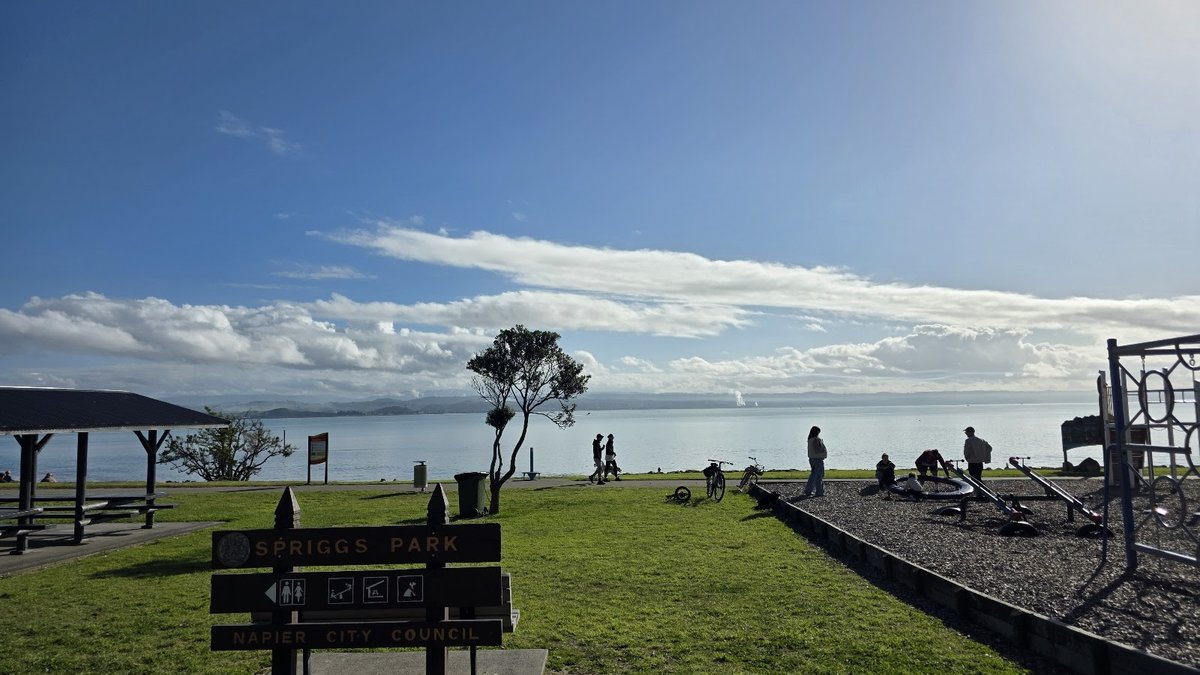 Spriggs Park