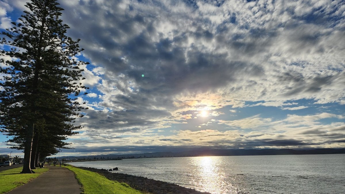Spriggs Park