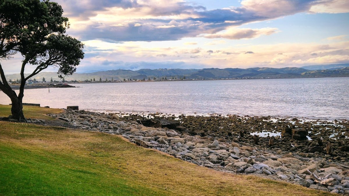 Spriggs Park