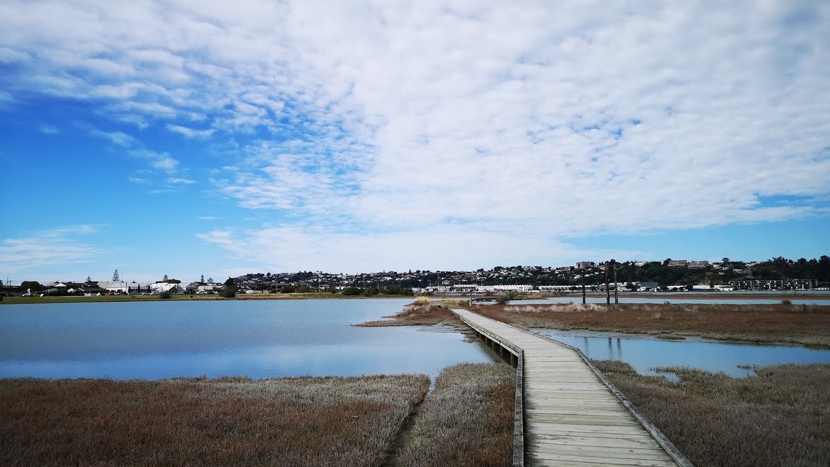 Ahuriri Estuary Walking Track