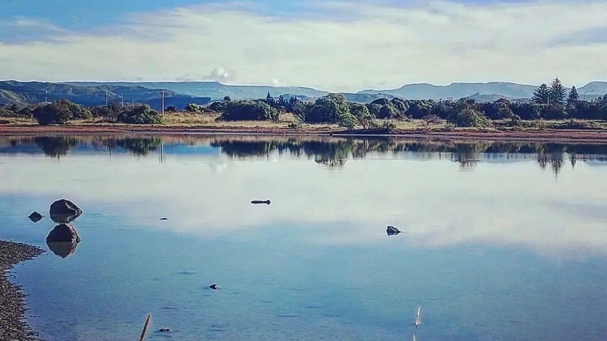 Ahuriri Estuary Walking Track