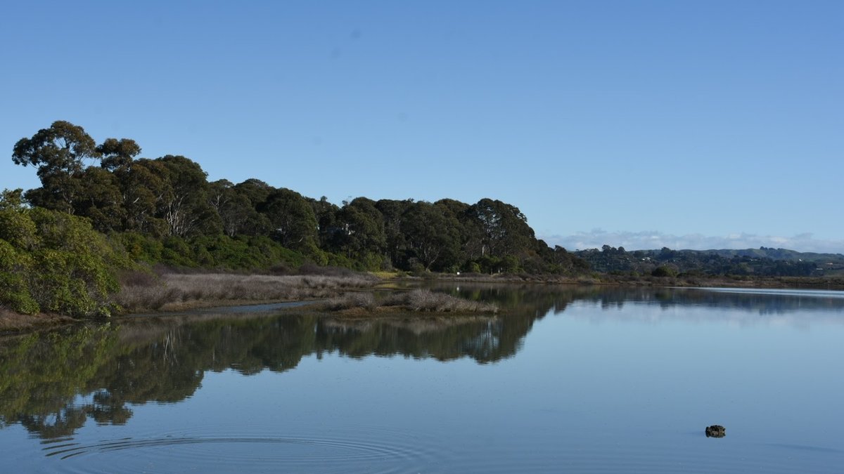 Ahuriri Estuary Walking Track