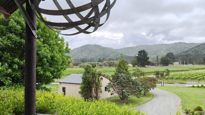 Valley D'Vine