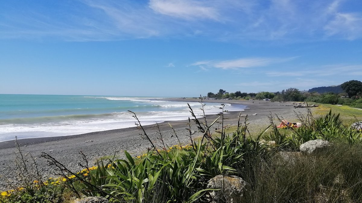 Te Awanga Domain