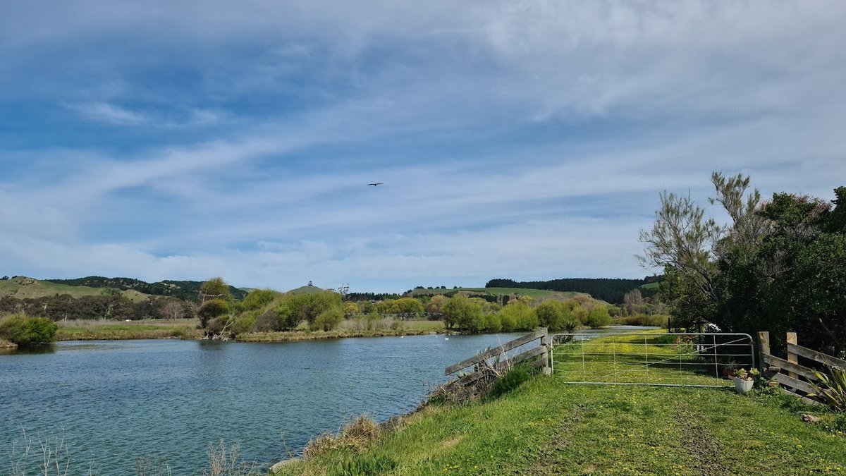 Te Awanga Domain