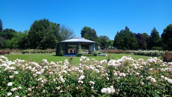 Frimley Park